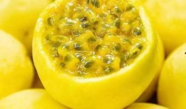 顾客爆料百香果视频下载,百香果视频下载背后的秘密大揭秘！